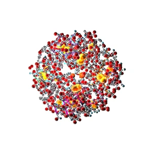 Prints of Insulin molecule, computer artwork. Insulin is a hormone produced by the pancreas. It consists of two peptide chains, A and B, which are linked by disulphide bridges Images Dated 2008 June: Insulin Molecule Print