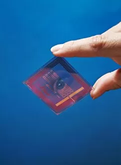 Images Dated 10th November 2004: Intelligent label chip