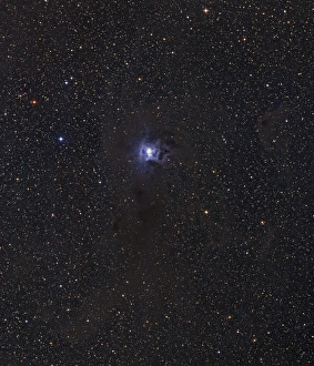 Star Formation Process Prints: Iris Nebula
