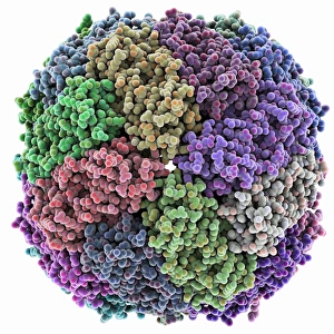 Iron containing protein, molecular model Iron containing protein, molecular model