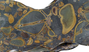 Mineral Specimen Photography Prints: Jasper
