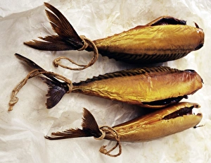 Smoked Fish Prints: Kippers