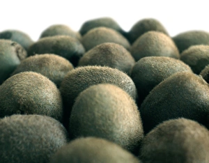 Kiwi Fruit Nutrition Prints: Kiwi fruit