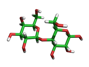 Computer-generated molecular model of lactose in print