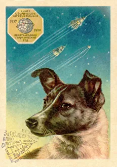 Laika the space dog postcard Laika the space dog postcard