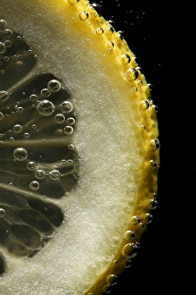 Lemon Slice Prints: Lemon slice
