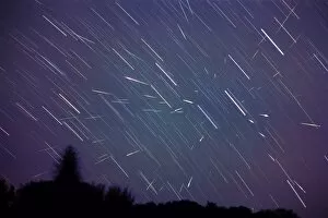 Images Dated 30th April 2004: Leonid meteors