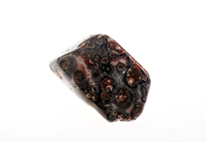 Prints of Cutout of a leopard skin gemstone on white background Images Dated 2011 August: Leopard Skin Gemstone Print