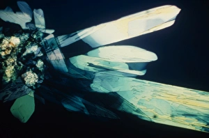Light Microscopy Images Prints: Light micrograph of methionine crystals
