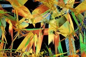Images Dated 3rd April 1991: Light micrograph of picric acid crystals