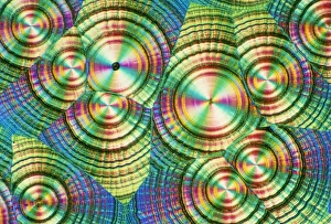 Prints of Polarised light micrograph of crystalline vitamin C (ascorbic acid). Magnification: X 14 at 35mm size, X 30 at 6x9 cm size Polarized Light Prints: Polarised Light Micrograph Print of Vitamin C Crystals