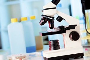 Light Microscope Images Prints: Light microscope F006 / 7165