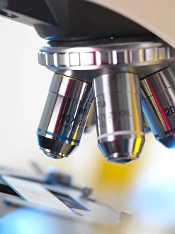Laboratory Equipment Photo Prints: Light microscope F006 / 9033