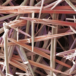 Images Dated 4th March 2009: SEM Print of Limescale Crystals, Coloured