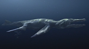 Prehistoric Sea Creature Prints: Liopleurodon