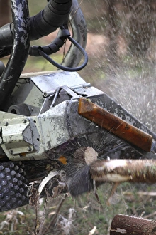 Logging Industry Prints: Logging machine