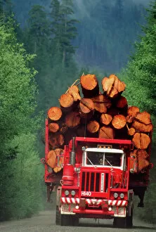 Images Dated 27th February 2004: Logging truck loaded with logs