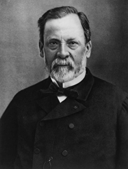 French Chemist Prints: Louis Pasteur