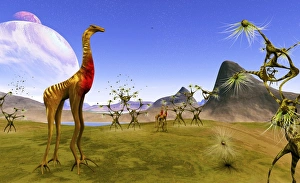 Prints of Low gravity aliens. Artwork of life forms on a planet with low surface gravity. A rocky planet that is smaller than the Earth would have lower surface gravity Images Dated 2005 September: Low Gravity Alien World Print