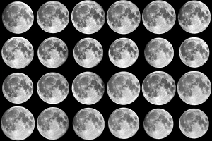 Prints of Lunar libration sequence. Sequence of twenty-four Full Moon images taken each month over a period of two years Images Dated 2010 January: Lunar Libration Sequence Print