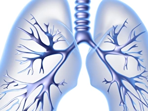 Lungs Computer Art Print