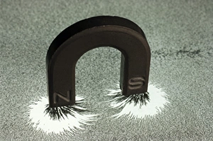 Iron Filings Experiment Prints: Magnet and magnetic field pattern