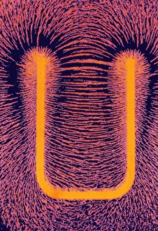 Magnetic Field Print, Horseshoe Magnet with Iron Filings