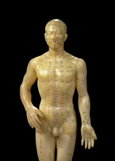 Male dummy showing acupuncture meridians & points Male dummy showing acupuncture meridians & points