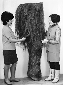 Mammoth leg Mammoth leg