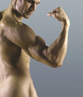 Images Dated 2001: Print of a nude man flexing his arm muscles