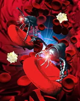 Images Dated 30th September 2003: Medical nanorobots on red blood cell