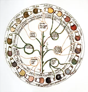 Medieval urine wheel
