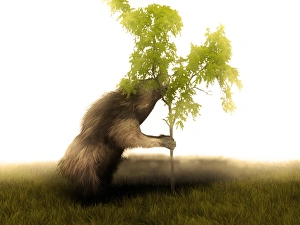 Prints of Megatherium. Artists impression of Megatherium, an extinct species of giant sloth. Megatherium was about the size of an elephant, and inhabited the shrubby savannas of America Images Dated 2006 February: Megatherium Megatherium Print: Artist's impression of a giant sloth