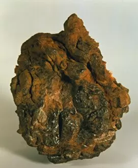 Images Dated 5th June 2002: Meteorite