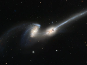 Images Dated 1st May 2002: The Mice Colliding Galaxies Print