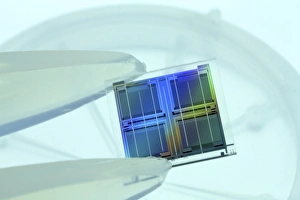 Electronic Component Prints: Microchip F008 / 3287