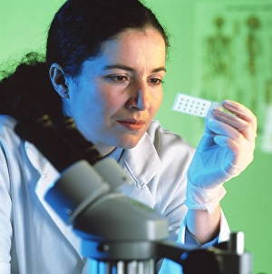 Scientific Research Equipment Prints: Microscope sample