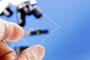 Laboratory Equipment Photos Prints: Microscope slide F008 / 2109