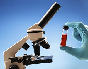 Microscope Laboratory Equipment Prints: Microscopy sample F008 / 2110