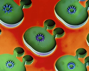 Coloured Scanning Electron Microscopy Prints: Miniature engine, SEM