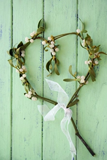 Winter Holiday Decorations Prints: Mistletoe decoration