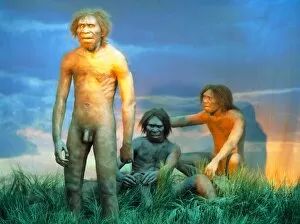 Images Dated 29th August 2002: Models of Homo erectus men