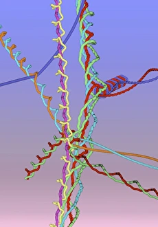 Prints of Molecular collisions. Computer model of molecules colliding in a 2-dimensional area. The coloured tracks show the successive positions of the atoms in each molecule Images Dated 2004 January: Molecular Collisions Print: A 2D computer model of molecules in motion