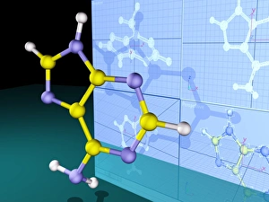 Prints of Molecular design. Computer artwork of plans for a molecular model of the nucleotide adenine with the finished model Images Dated 2005 March: Molecular Design Print: Adenine Nucleotide Model