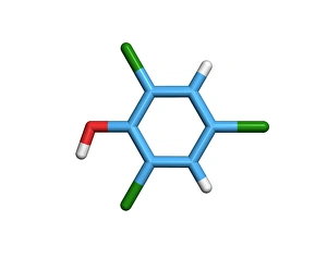Prints of Component of TCP antiseptic. Computer model of a molecule of 2, 4, 6-trichlorophenol, a component of the commercially available antiseptic TCP Images Dated 2005 November: Computer model of 2, 4, 6-trichlorophenol molecule Print