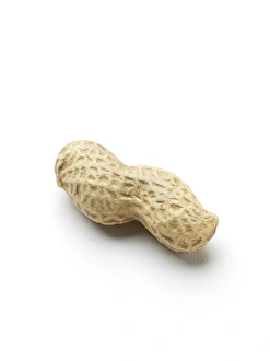 Edible Nuts Prints: Monkey nut