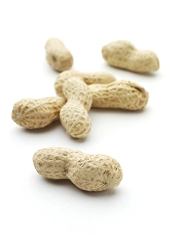 Exotic Fruit Images Prints: Monkey nuts