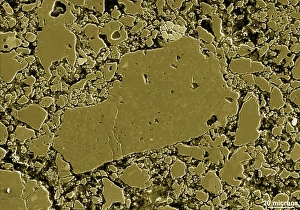 Prints of Moon rock. Coloured scanning electron micrograph (SEM) of the surface of a sample of rock from the Moon Images Dated 2010 February: SEM Print of Moon Rock Surface