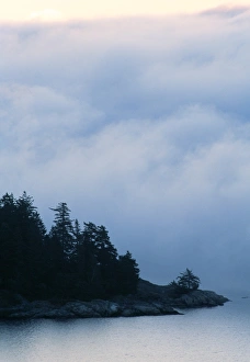 Morning Mist Photography Prints: Morning fog