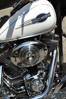 Harley-Davidson Prints: Harley Davidson Chrome Engine Print